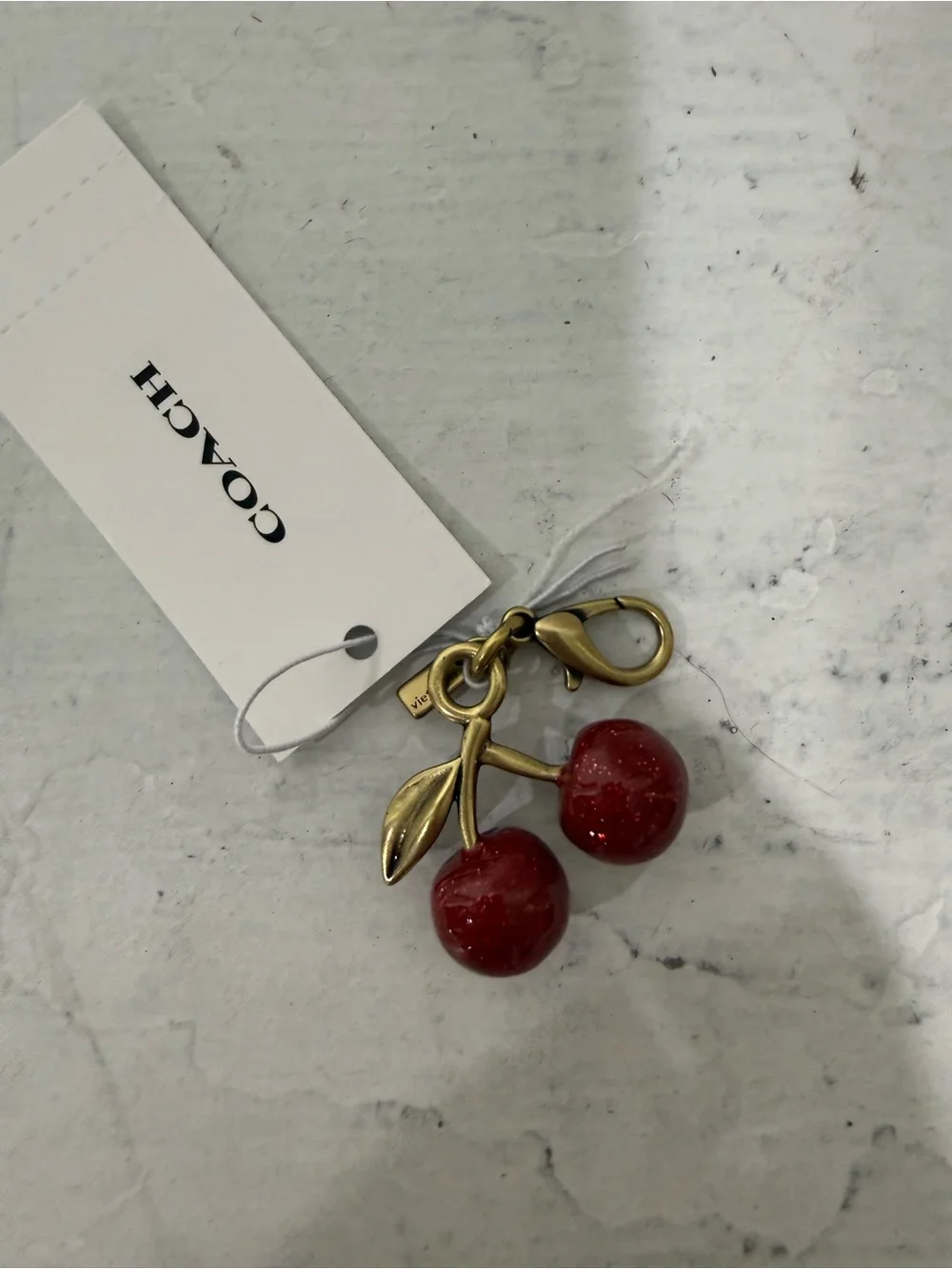 Coach DIY Cherry Charm Mini NWT CCX77